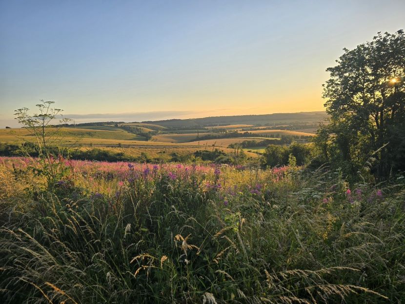 Butser Hill